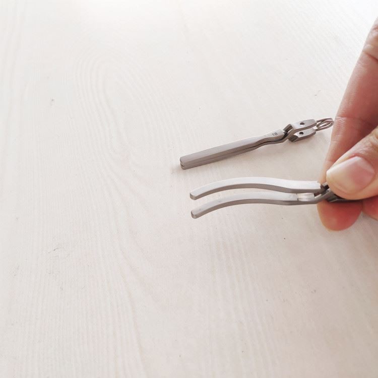 tip of bulldog forceps