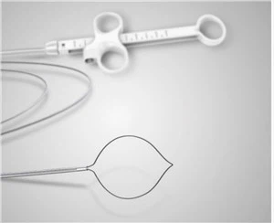Disposable Polypectomy Snare